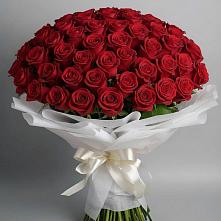 Букет 101 Красная роза Блэк Мэджик в Пыть-Яхе