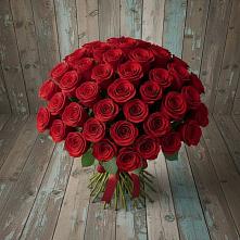 Букет 55 Красных роз Фридом #REPLACE_PRED# Пыть-Яхе