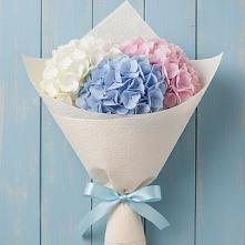 Букет цветов из:  Гортензия в Пыть-Яхе