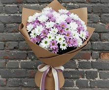 Букет цветов из:  Хризантемы #REPLACE_PRED# Пыть-Яхе