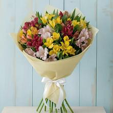 Букет цветов из:  Альстромерии в Пыть-Яхе