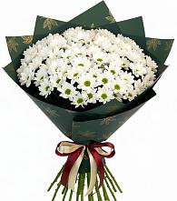 Букет цветов из:  Хризантемы в Пыть-Яхе