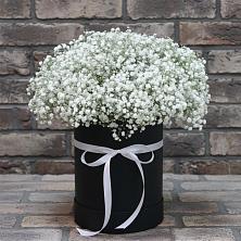 Цветочная композиция из Гипсофила в шляпной коробке в Пыть-Яхе