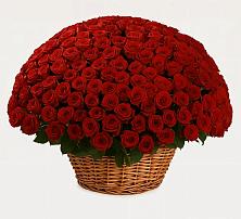 Премиум букет из: Розы в Пыть-Яхе