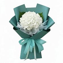 Букет цветов из:  Гортензия в Пыть-Яхе